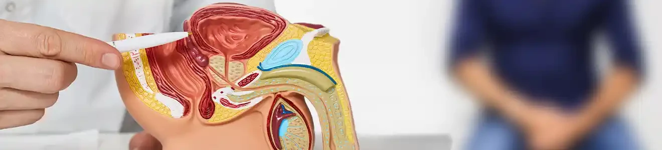 Андрология